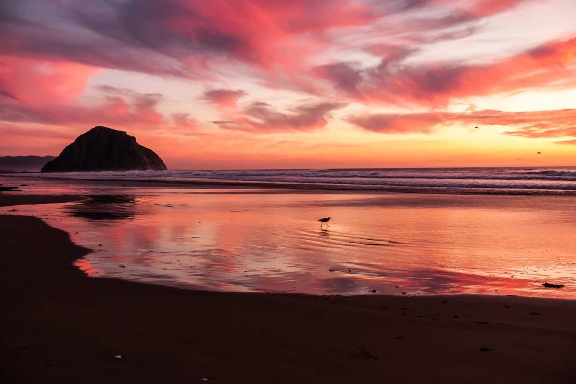 Adipisci ut molestiae